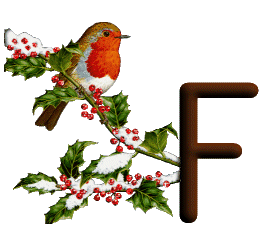 oiseau545489598689555-6.gif