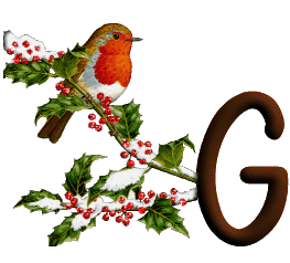 oiseau545489598689555-7.gif