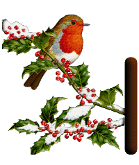 oiseau545489598689555-9.gif