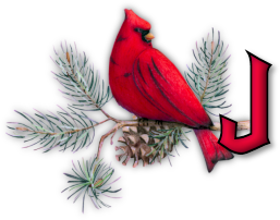 oiseau65655-10.png