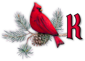 oiseau65655-11.png
