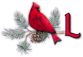 oiseau65655-12.png