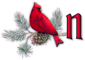 oiseau65655-14.png