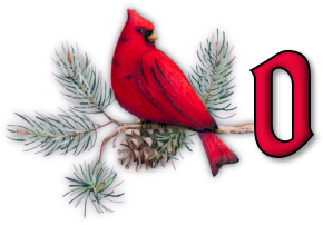 oiseau65655-15.png