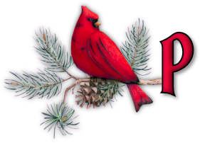 oiseau65655-16.png