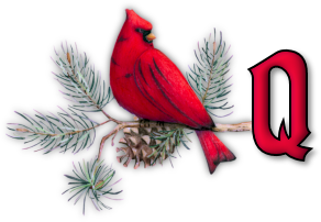 oiseau65655-17.png