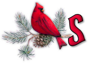 oiseau65655-19.png