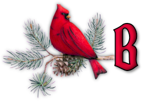 oiseau65655-2.png