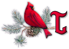 oiseau65655-20.png