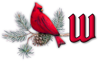 oiseau65655-23.png
