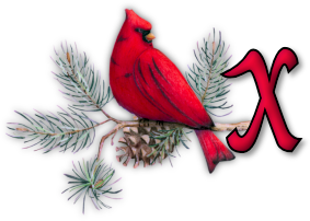 oiseau65655-24.png