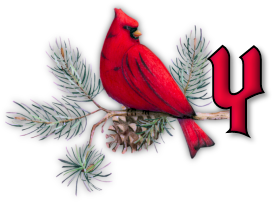 oiseau65655-25.png