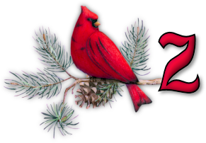 oiseau65655-26.png