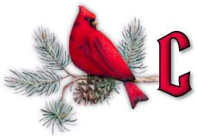 oiseau65655-3.png