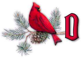 oiseau65655-4.png