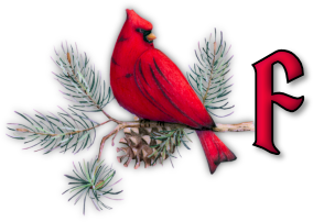 oiseau65655-6.png