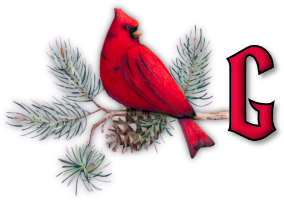 oiseau65655-7.png