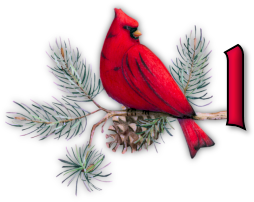 oiseau65655-9.png