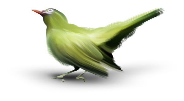 oiseaux-529949043904904303005005509509.png