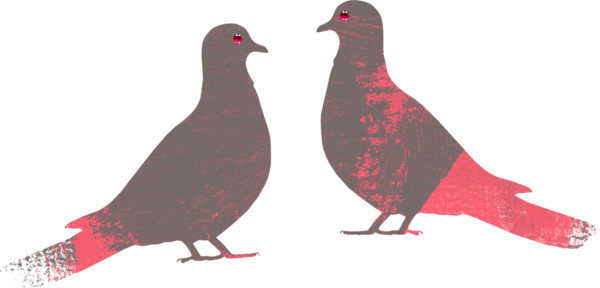 oiseaux-53323329394384854855868568965689.png