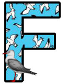 oiseaux-5454m54trtr765-6.png