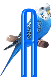 oiseaux4343455456-1.png