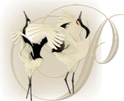 oiseaux743848954894598-16.gif
