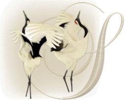 oiseaux743848954894598-19.gif