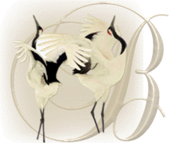 oiseaux743848954894598-2.gif