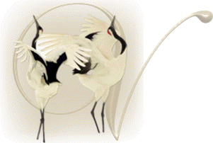 oiseaux743848954894598-22.gif