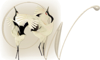 oiseaux743848954894598-23.gif