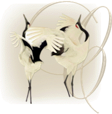 oiseaux743848954894598-3.gif
