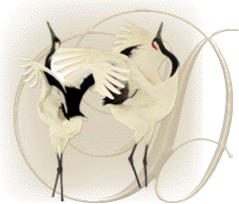 oiseaux743848954894598-4.gif