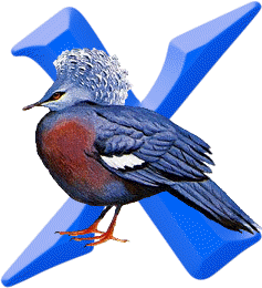 oiseaux905490345886-24.gif