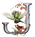 oiseaux94839344834-10.gif