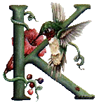 oiseaux94839344834-11.gif