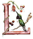 oiseaux94839344834-12.gif
