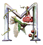 oiseaux94839344834-13.gif
