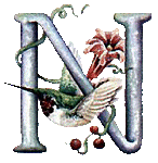 oiseaux94839344834-14.gif