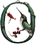 oiseaux94839344834-15.gif