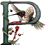 oiseaux94839344834-16.gif
