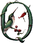 oiseaux94839344834-17.gif
