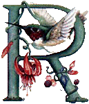 oiseaux94839344834-18.gif