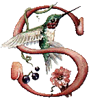 oiseaux94839344834-19.gif