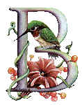 oiseaux94839344834-2.gif