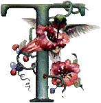 oiseaux94839344834-20.gif