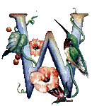 oiseaux94839344834-23.gif