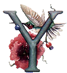 oiseaux94839344834-25.gif