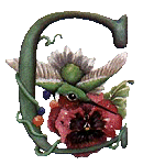 oiseaux94839344834-3.gif