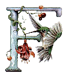 oiseaux94839344834-6.gif